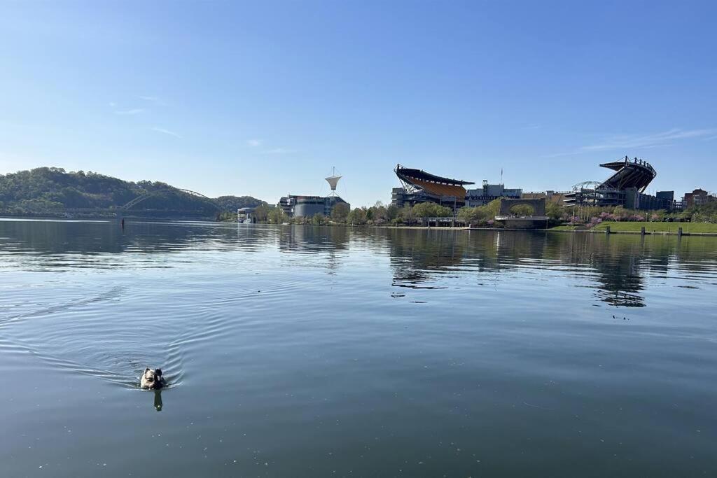 Sprawling Stadium Views Wonderful Location 24-7 Parking Gym Lounge Pittsburgh Ngoại thất bức ảnh